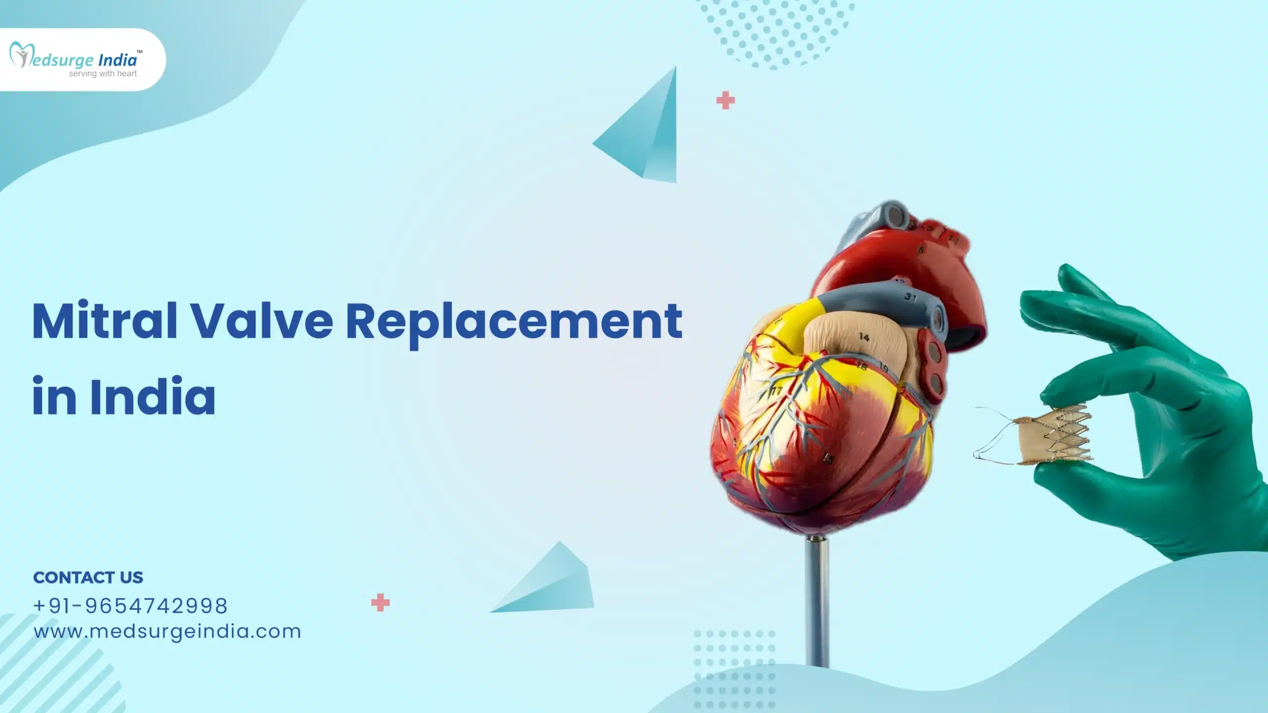 Mitral Valve Replacement Cost in India