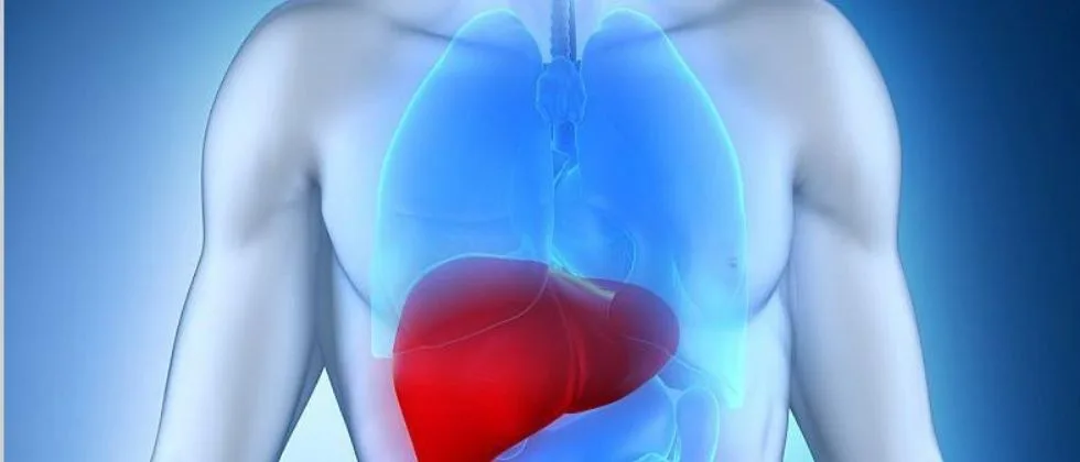 Life After Having a Liver Transplant
