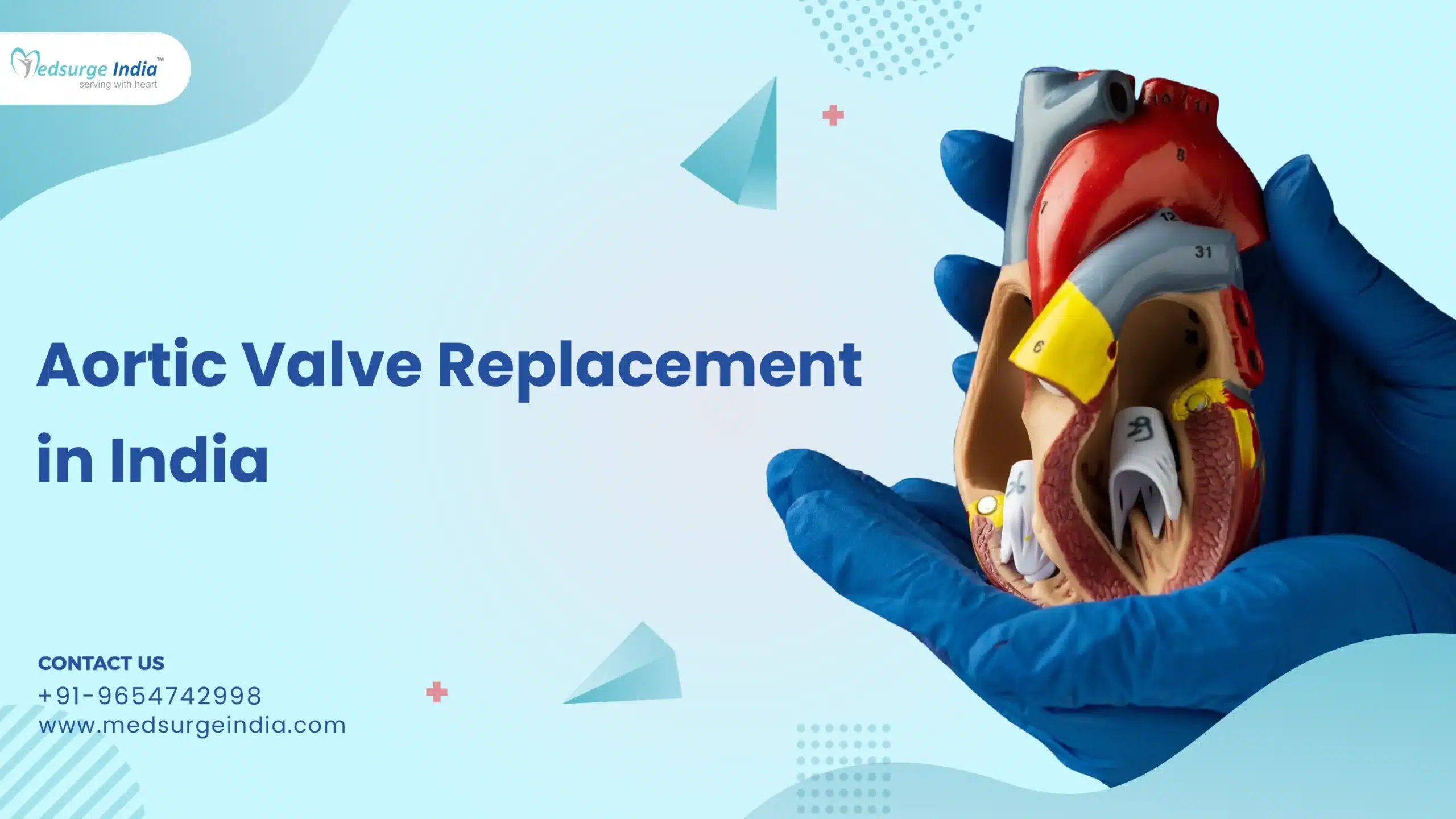 Aortic Valve Replacement Cost in India