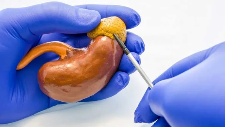Everything You Need to Know About Kidney Transplant