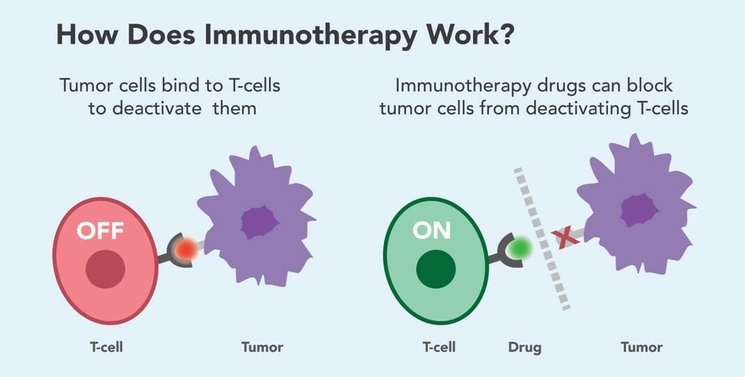 how does immunotherapy work