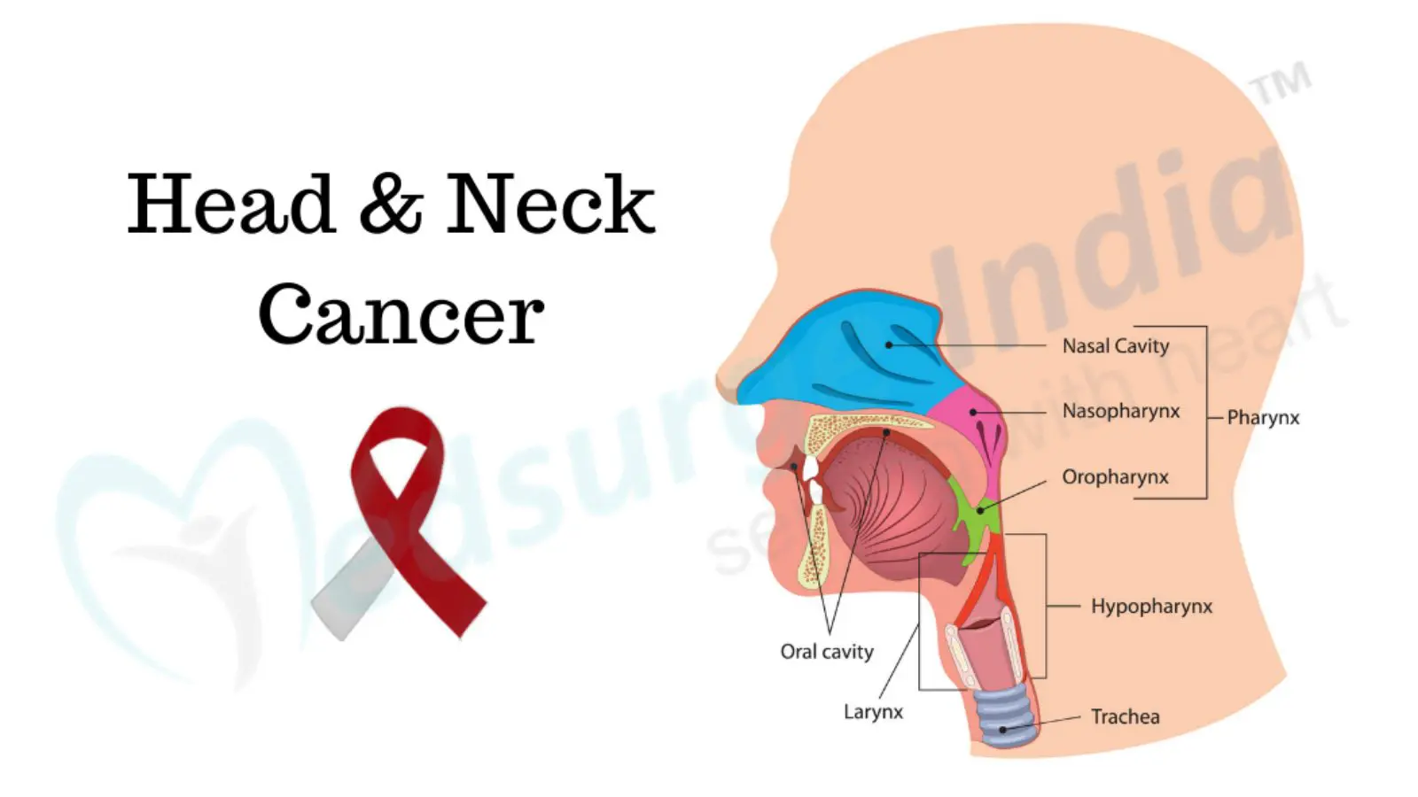 Head and Neck Cancer – Types, Causes and Diagnosis