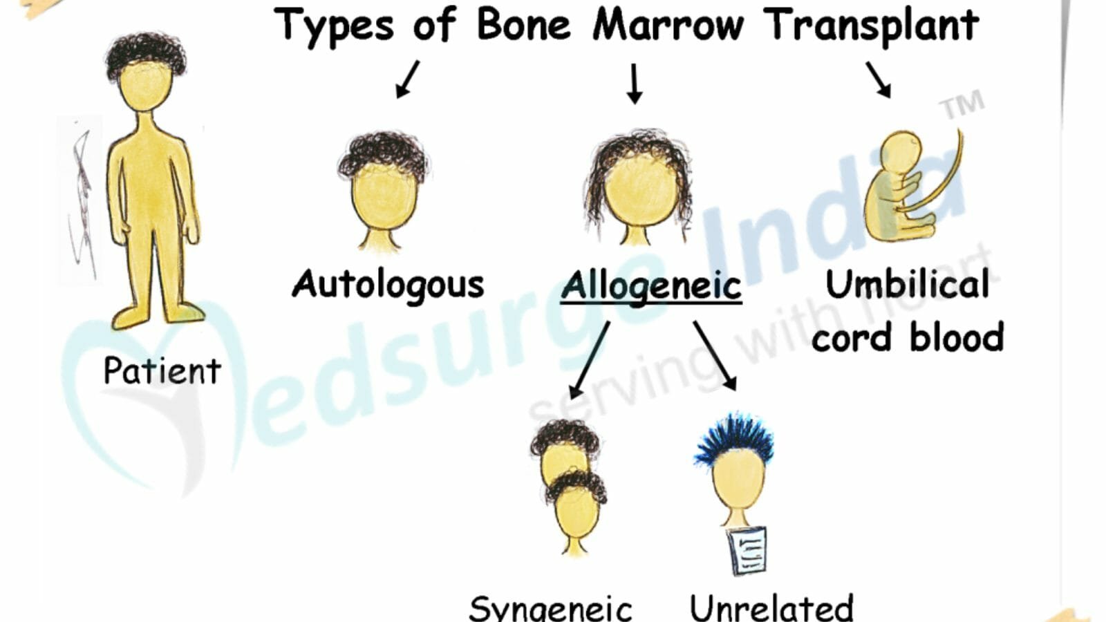 Types of bone marrow transplant