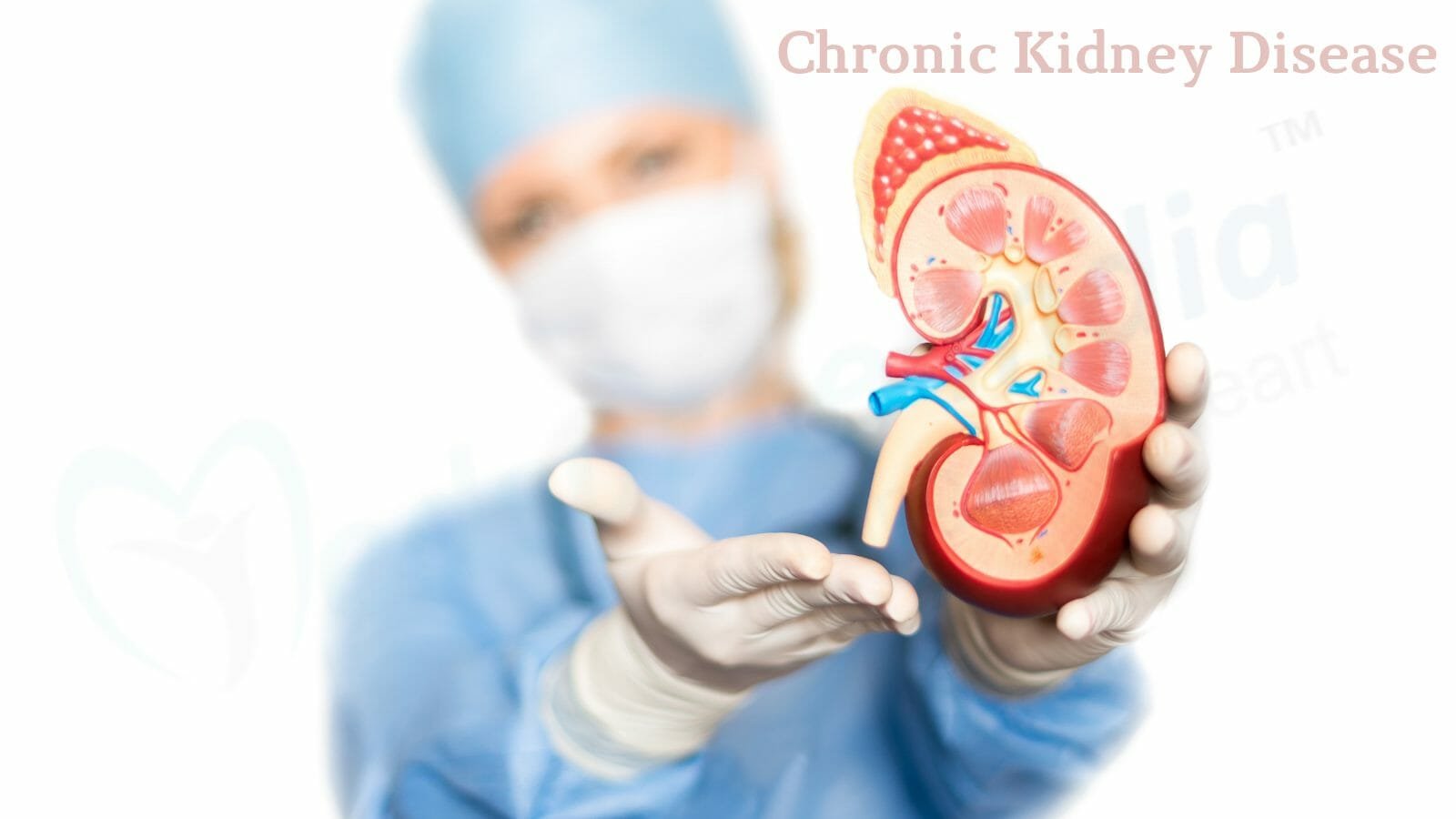 Chronic Kidney Disease: Causes & Treatment