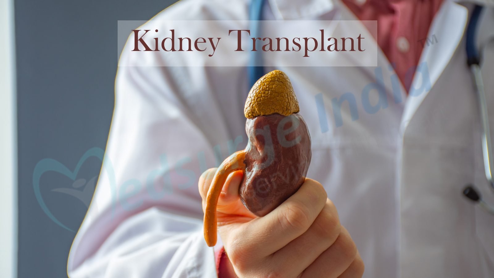 Kidney Transplant Cost in Turkey