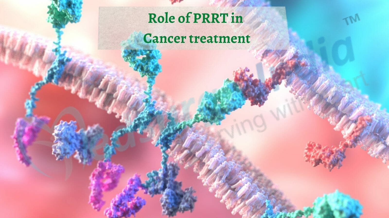 Role of PRRT Therapy in Cancer Treatment