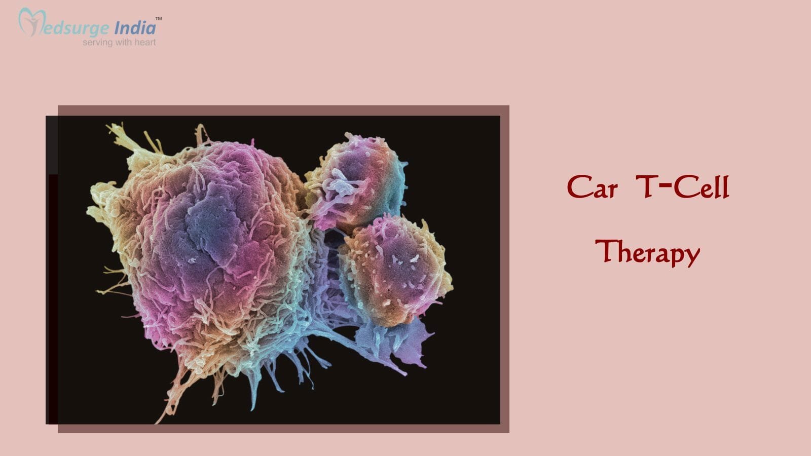 Car T-Cell Therapy Cost in India