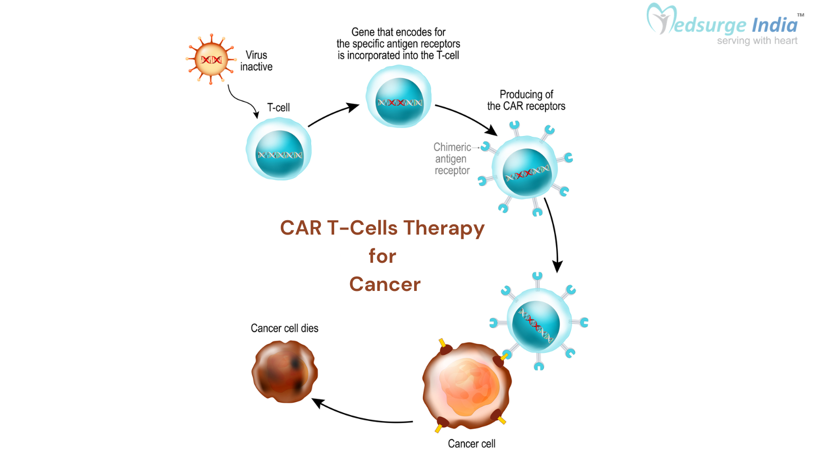 How Does CAR T-Cell Therapy Work in Treating Cancer