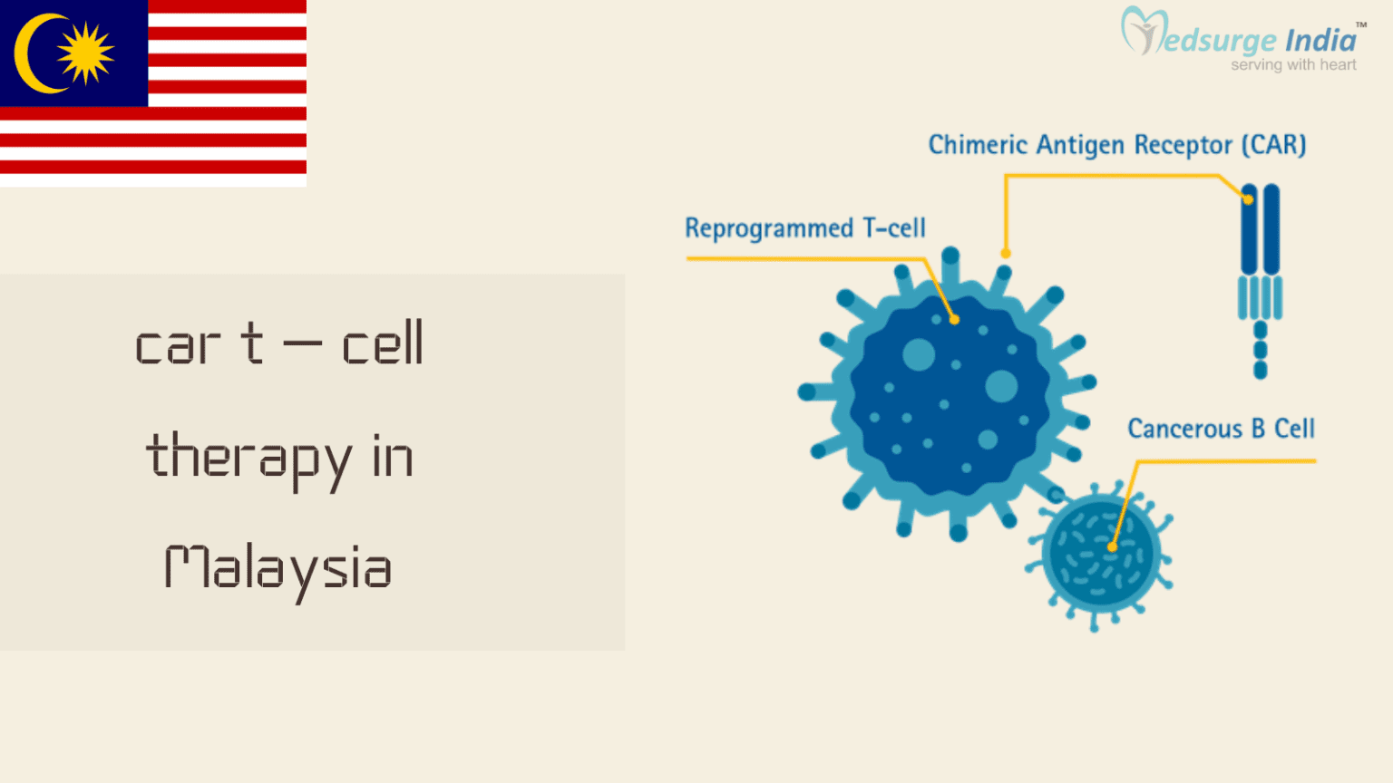 CAR T-cell Therapy Cost In Malaysia | Procedure | Medsurge India