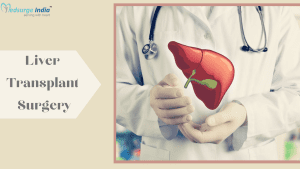 Liver Transplant Surgery Cost in Delhi