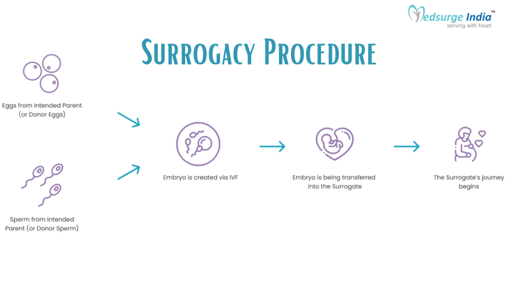  Procedure of Surrogacy