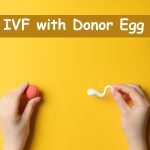 Donor Egg IVF Cost in India