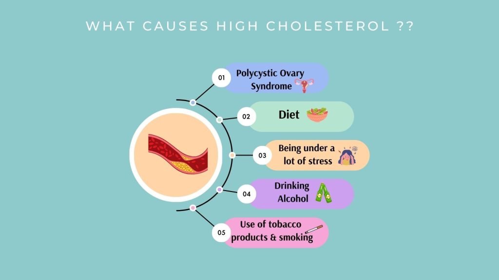  causes of high cholesterol