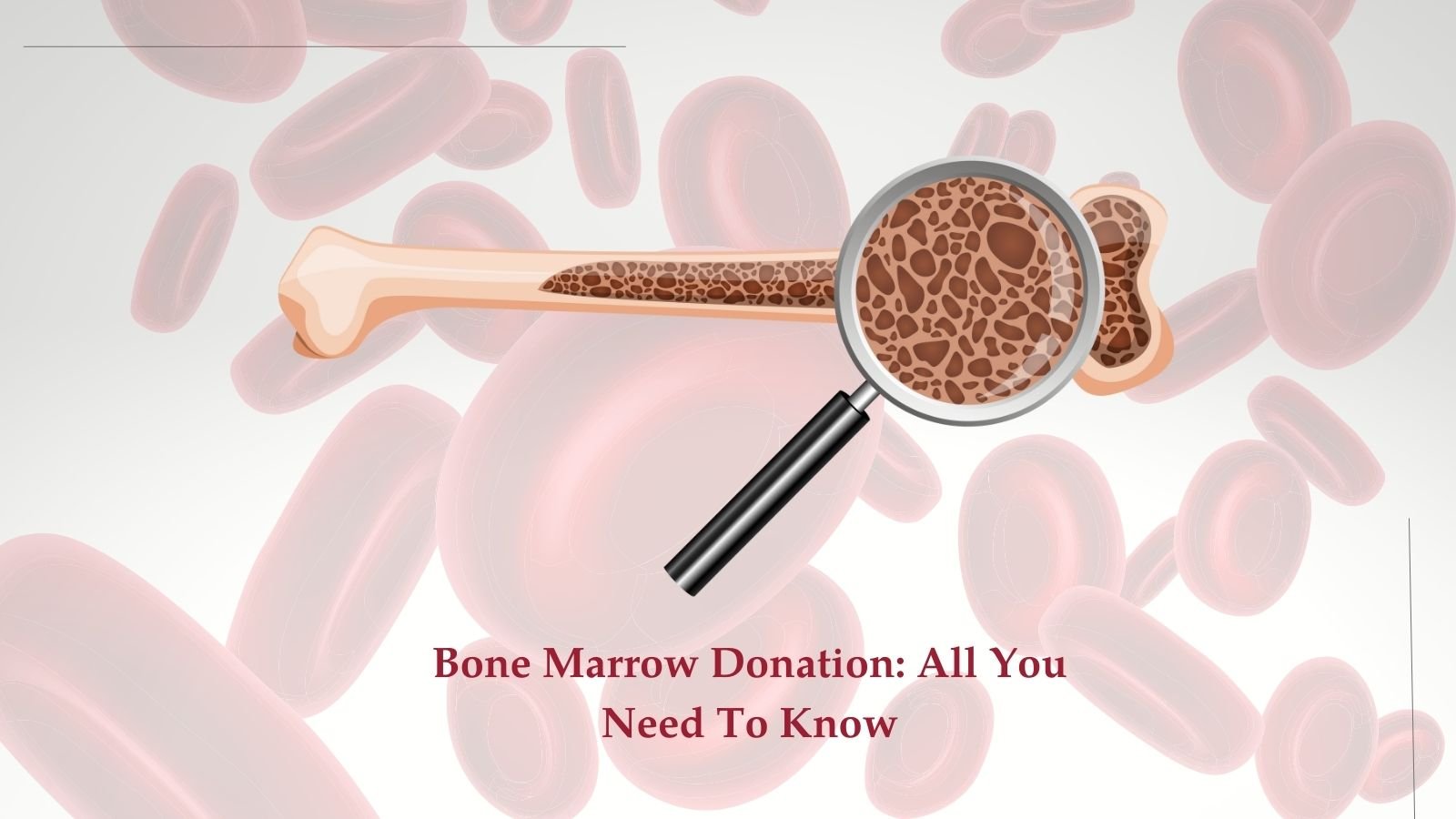 Bone Marrow Donation: All You Need To Know