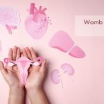 Womb Transplant cost in India
