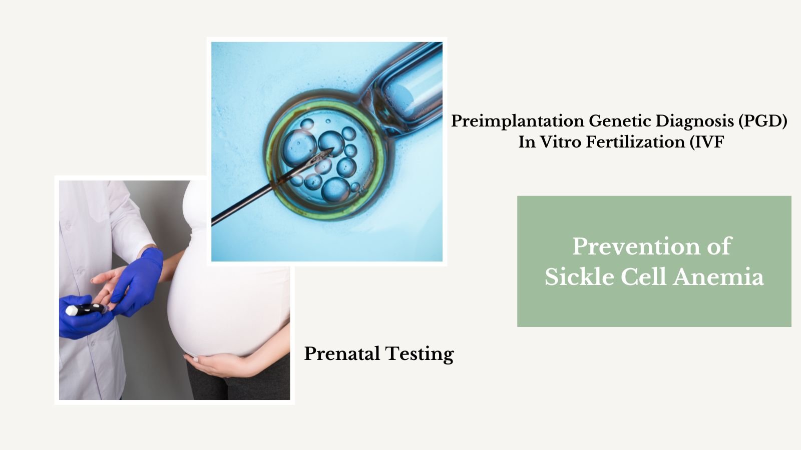 Prevention of Sickle Cell Anemia