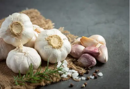 Garlic