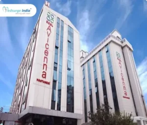 Avicenna Hospital, Ataşehir, Istanbul