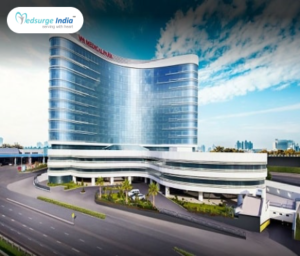 V M Medical Park, Pendik