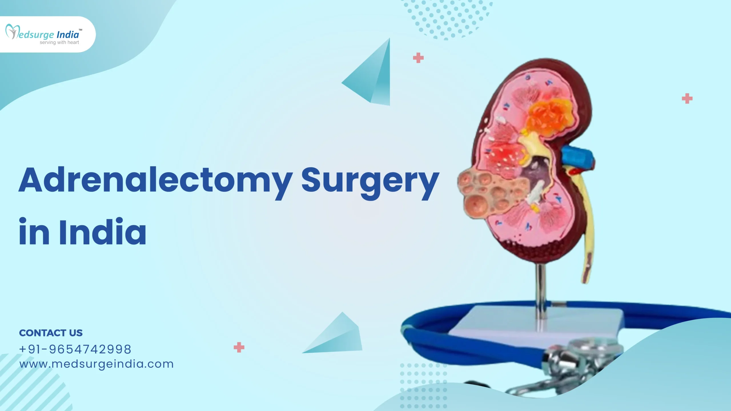 Adrenalectomy Surgery Cost in India