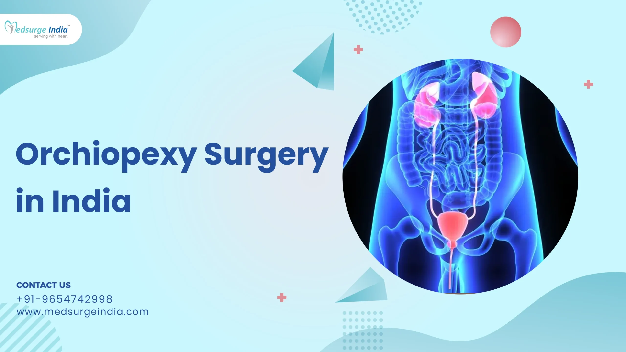 Sperma ichidagi kesilgan