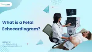 Fetal Echocardiogram