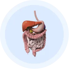 Gastroenterology