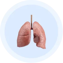 Pulmonology