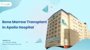 Bone Marrow Transplant Cost in Apollo Hospital