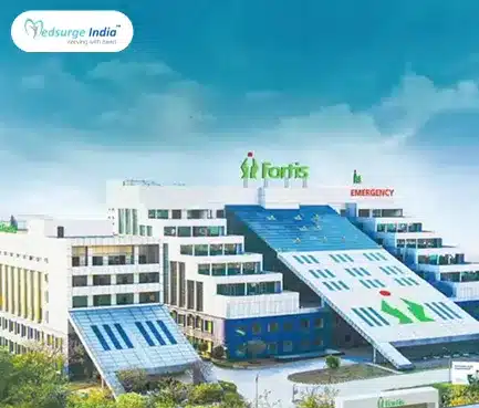 Fortis Hospital Manesar
