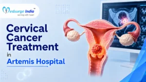Cervical Cancer Treatment Cost in Artemis Hospital